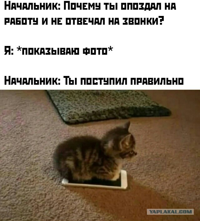 Забавные комментарии из социальных сетей 27.09.21