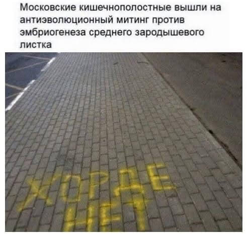 Всяческие картинки 15.11.2021