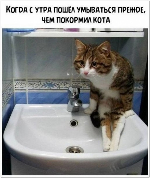 Весёлый полтишок 08.12