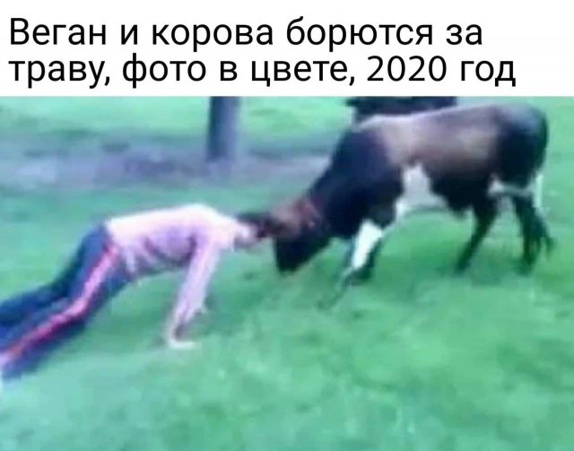 Картинки на разную тематику