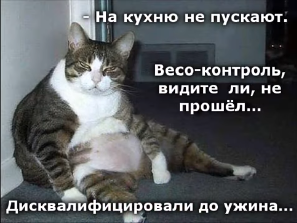 Так себе картинки 27.02.22