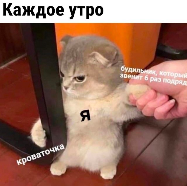 Нехочух