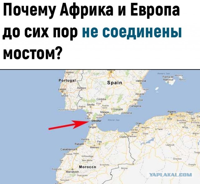 Так себе картинки 26.05.22