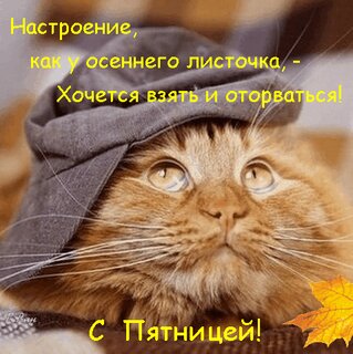 Картинки и мемы, всем хороших выходных