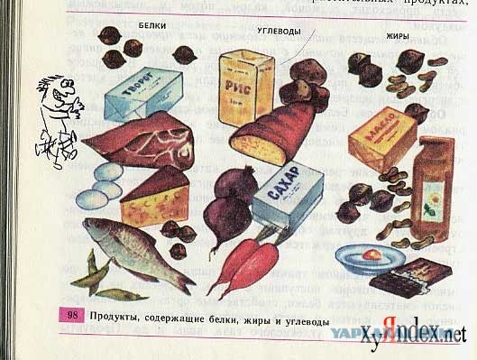 Школьные фотожабы