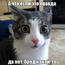 Почему американское издание Bloomberg так напугали дноуглубительные работы на российских реках стоимостью $1 млрд.