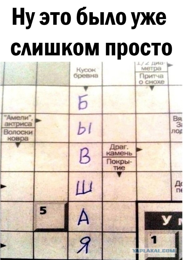 Забавные комментарии из социальных сетей (13.02.23)