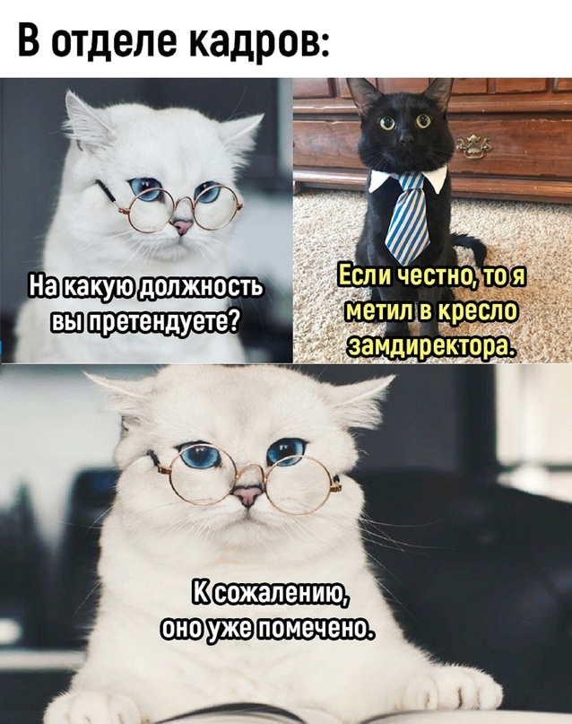 Картинки и мемы для настроения - 181