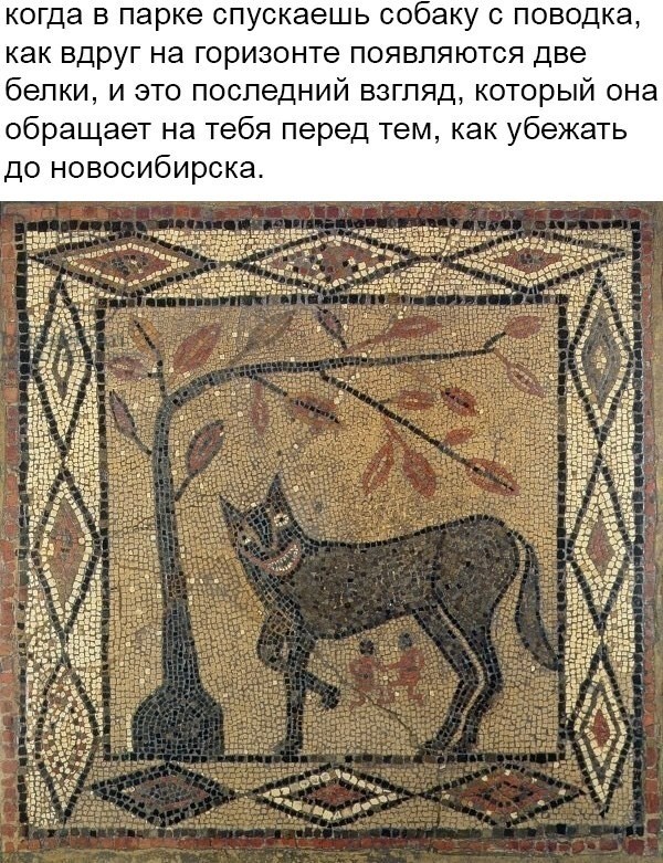 Веселые картинки