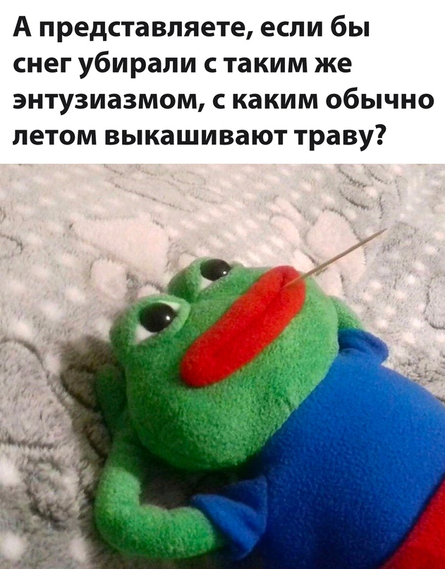 Весёлый полтишок 23.01.24