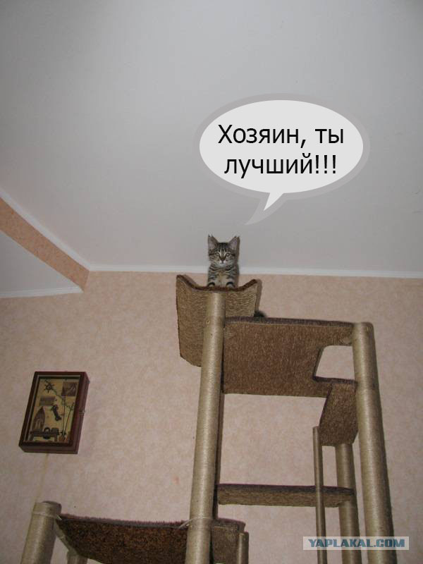 Резиденция для Маршала