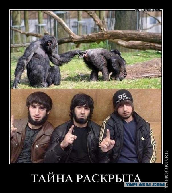 В Иркутске два абу-бандита перегородили дорогу автомобилю и избили водителя прямо на проезжей части моста