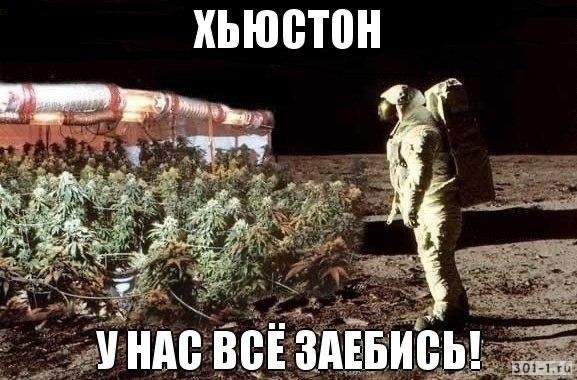 На МКС обнаружили устойчивые к лекарствам и потенциально опасные мутировавшие штаммы бактерий