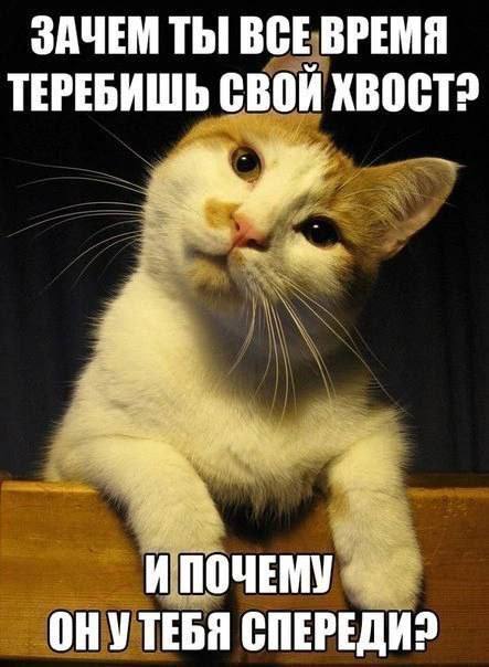 Немного мемчиков. Для взрослых. Часть 34