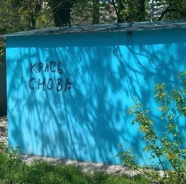 Перлы 04.06.24