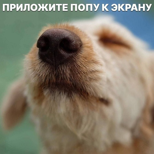 Но... надо!