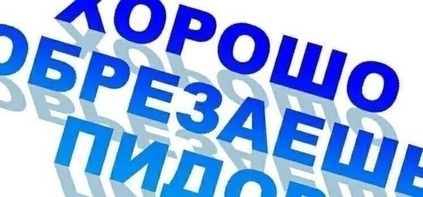 Жара заставила москвичек уже раздеться