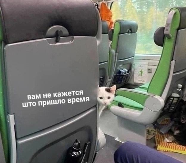 Здрасьте... я ваш попучник