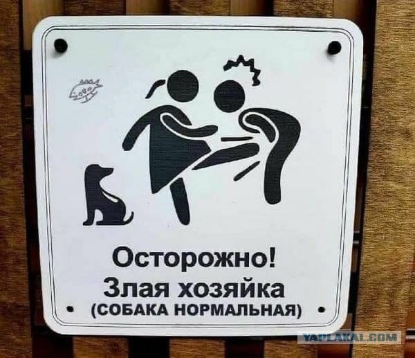 Как первый день на работе?
