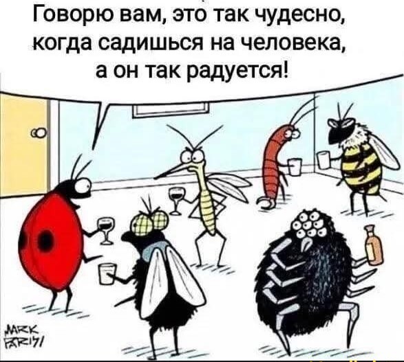 Для пятничного настроения