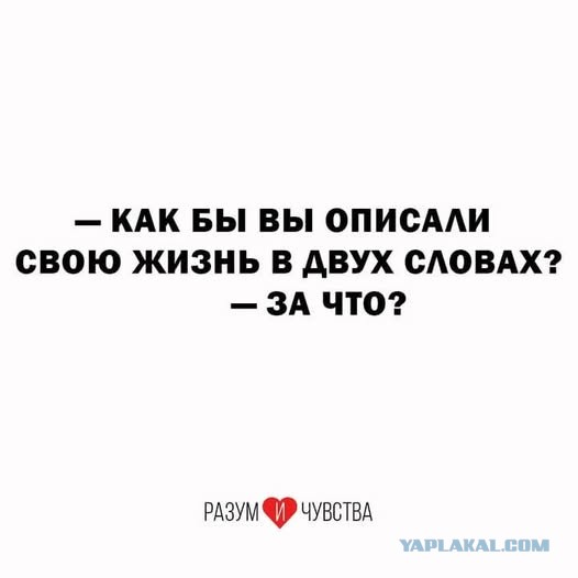 Так себе картинки 07.12.25