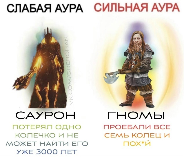 Мой кот