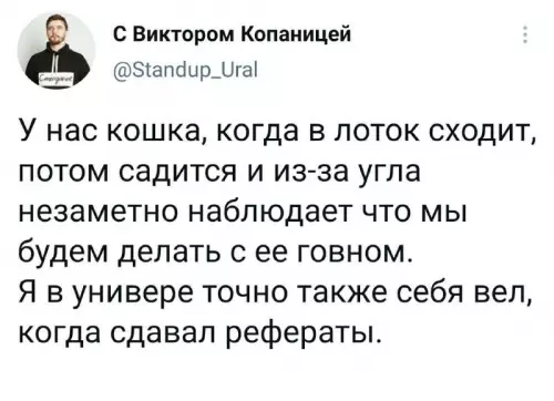 Картиночки, баянчики 23 февраля