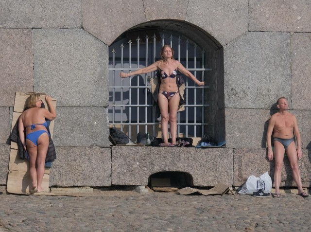 Подсолнухи Петропавловки