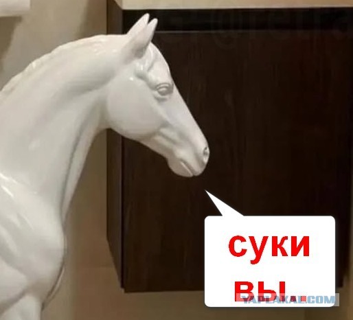 Унитаз Боярского