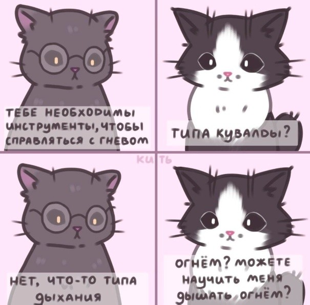 Картинки для деградации 180 (разной степени свежести)
