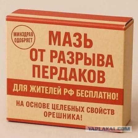 Минобороны РФ заявило о нарушении Украиной перемирия в честь Дня Победы