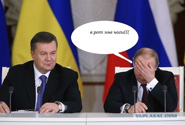 Фото дня