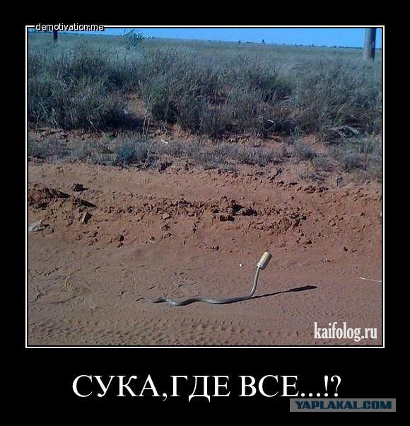 Подборка позитивных картинок на выходные