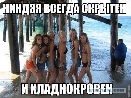 Смешные картинки из инета