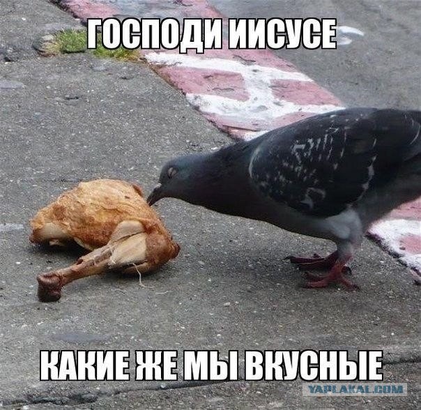 Приколы из социальных сетей №х/з