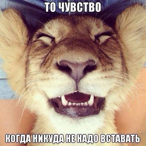 Немного позитива