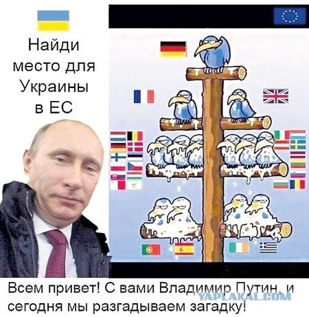 На Украину переселят всех цыган из Евросоюза