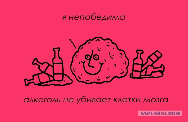 Забавные минифакты в картинках