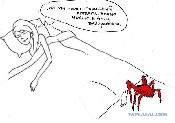 Свежие картинки из сети