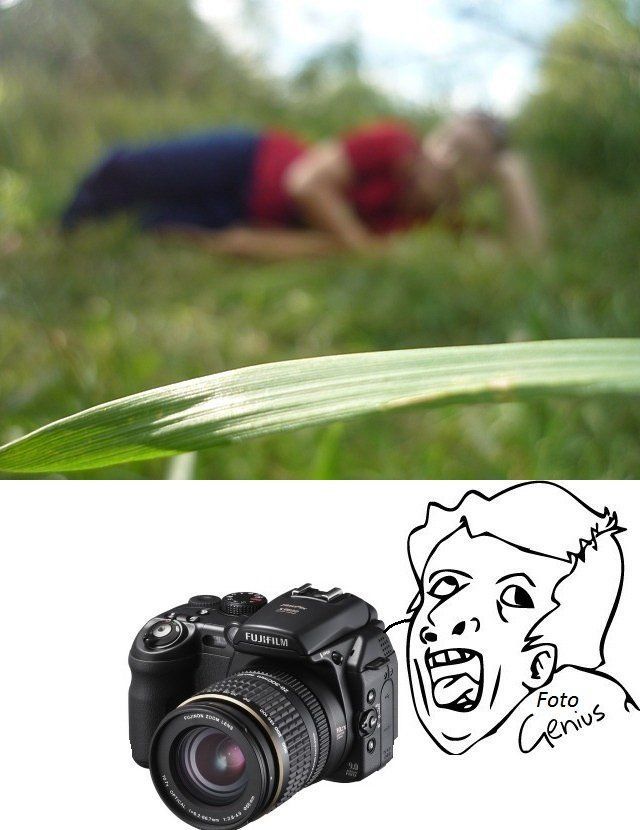 Весёлые картинки