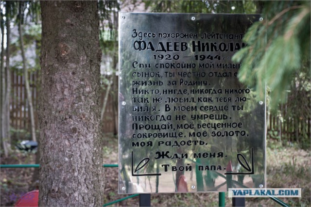Фронтовые дороги Великой Отечественной Войны