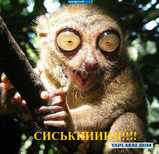 Высокоморальная женщина или Другая измена