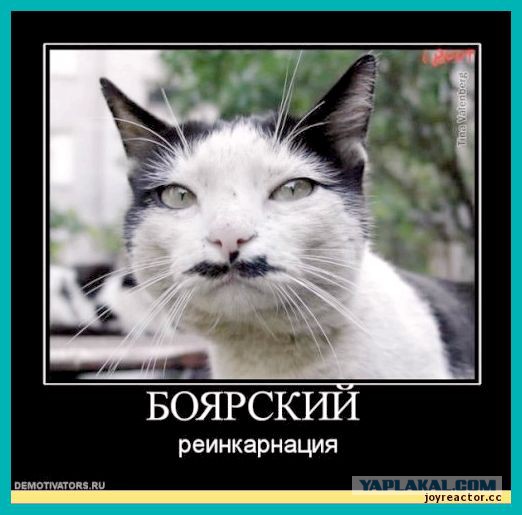 Почему Боярский не снимает шляпу?
