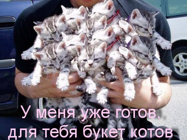 Картинки + гифки.