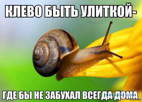 Картинки + гифки.
