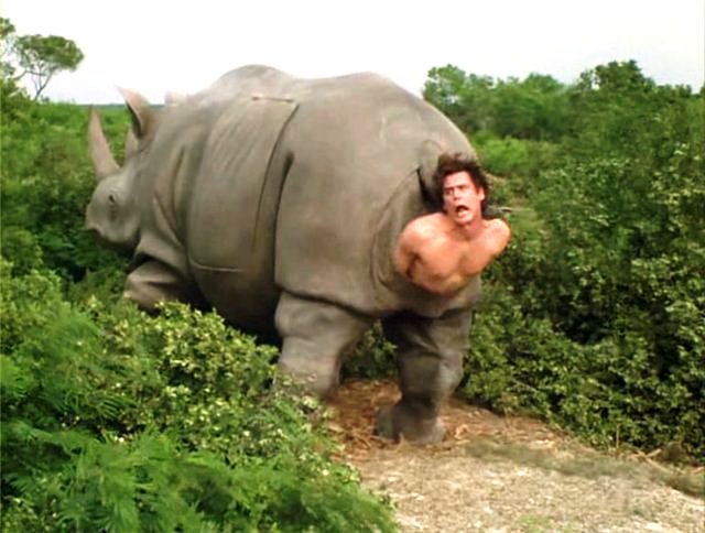 В чреве кита