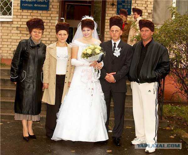 Фотожабы на кандибобер