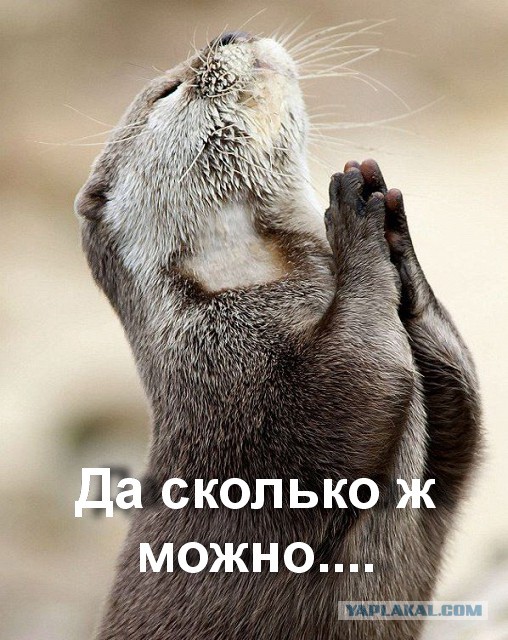 Третья мировая уже началась