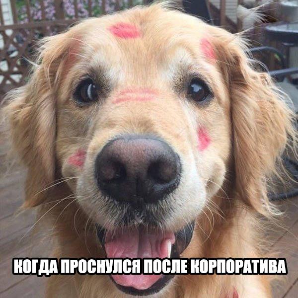 А давайте улыбнёмся В Новом Году