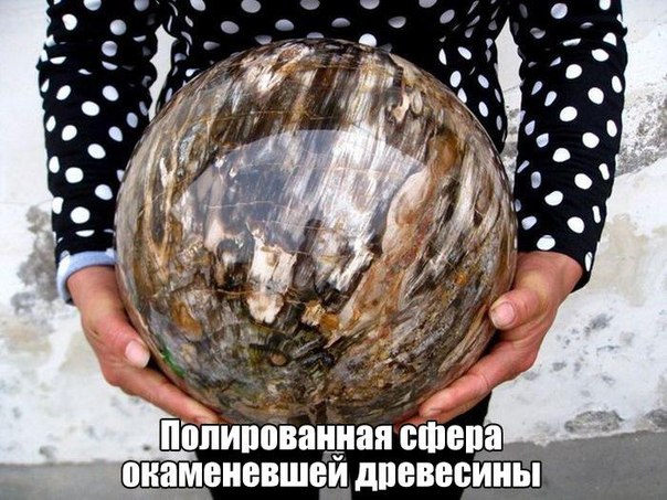 Подборка прикольных картинок